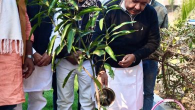 माँ का सम्मान और पृथ्वी का शृंगार आज आरा में आदरणीय प्रधानमंत्री श्री नरेंद्र मोदी जी के महत्वाकांक्षी 'एक पेड़ मां के नाम' अभियान के तहत आम के पौधे को रोपकर प्रकृति के प्रति अपना दायित्व निभाया। हरित राष्ट्र के निर्माण और पर्यावरण संरक्षण के लिए पौधारोपण बहुत आवश्यक है।